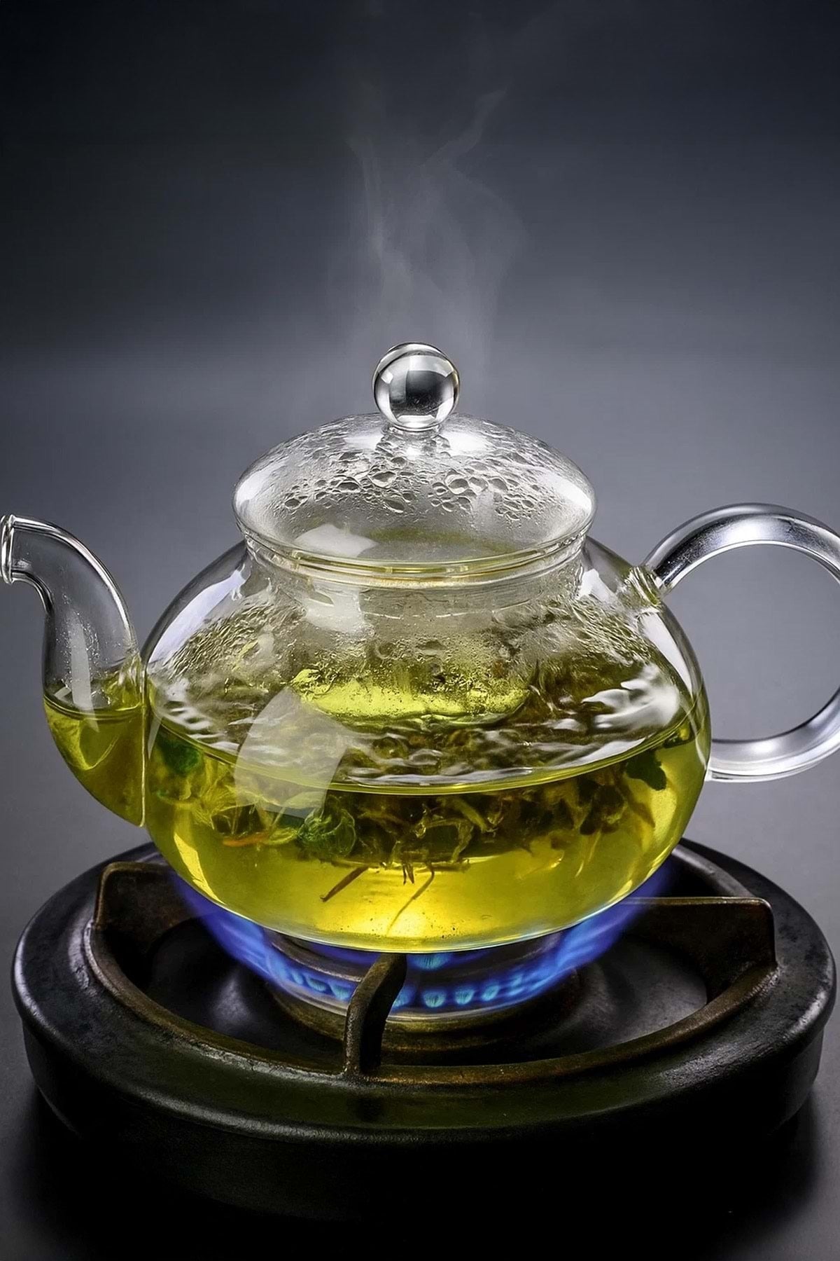 "Artisan" Clarity Isıya Dayanıklı 750 ML Cam Demlik