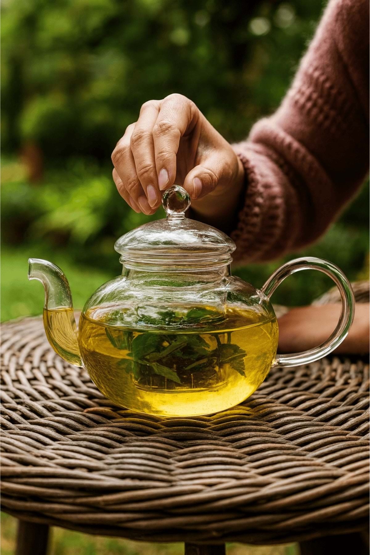 "Artisan" Clarity Isıya Dayanıklı 750 ML Cam Demlik